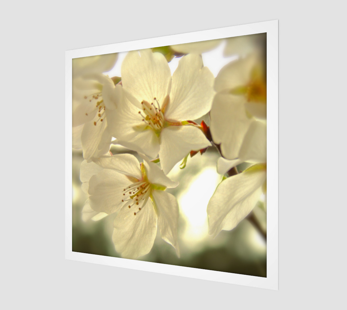 Aperçu de Cherry Blossoms #1