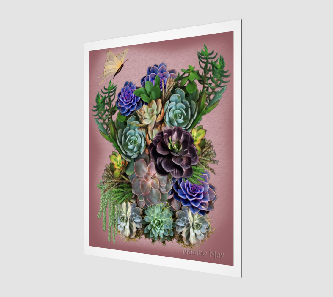Succulents from my garden preview #1