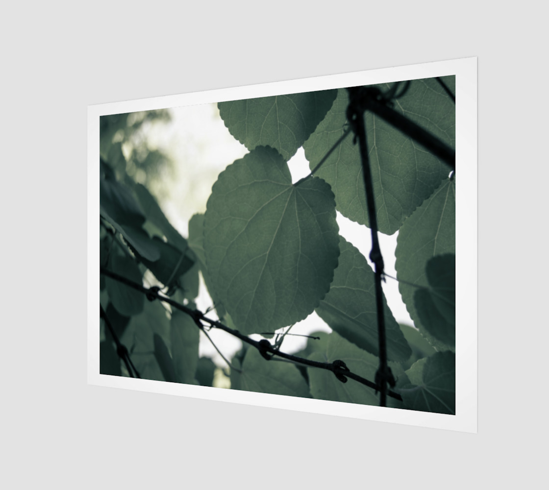 Green Leaves preview #1