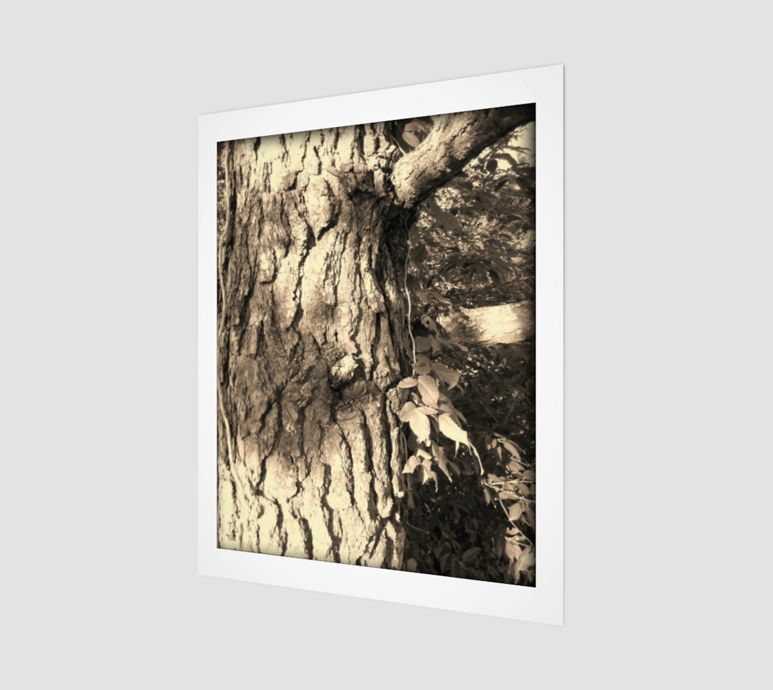 Sepia Morning Number 2 Art Print by Tabz Jones preview #1