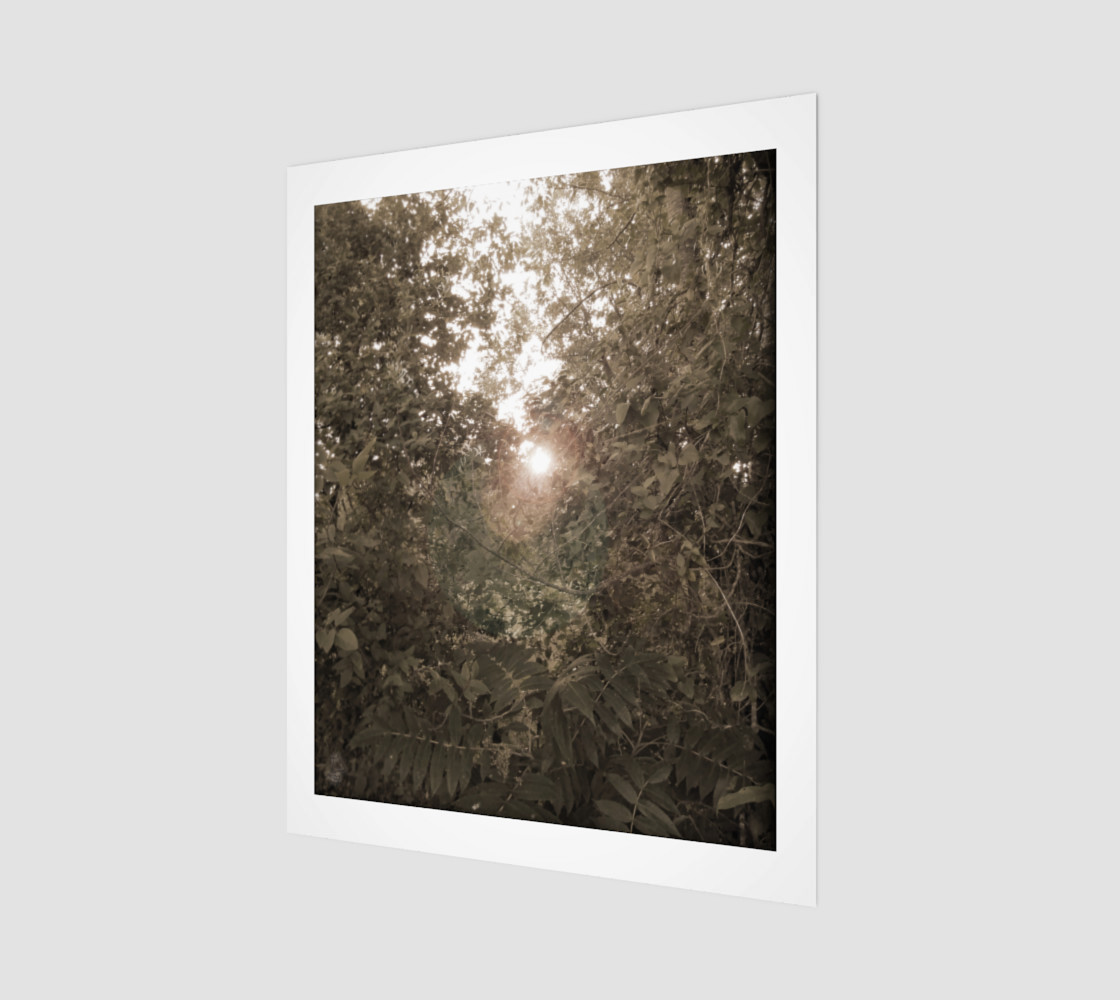Sepia Morning Number 4 Art Print by Tabz Jones 3D preview