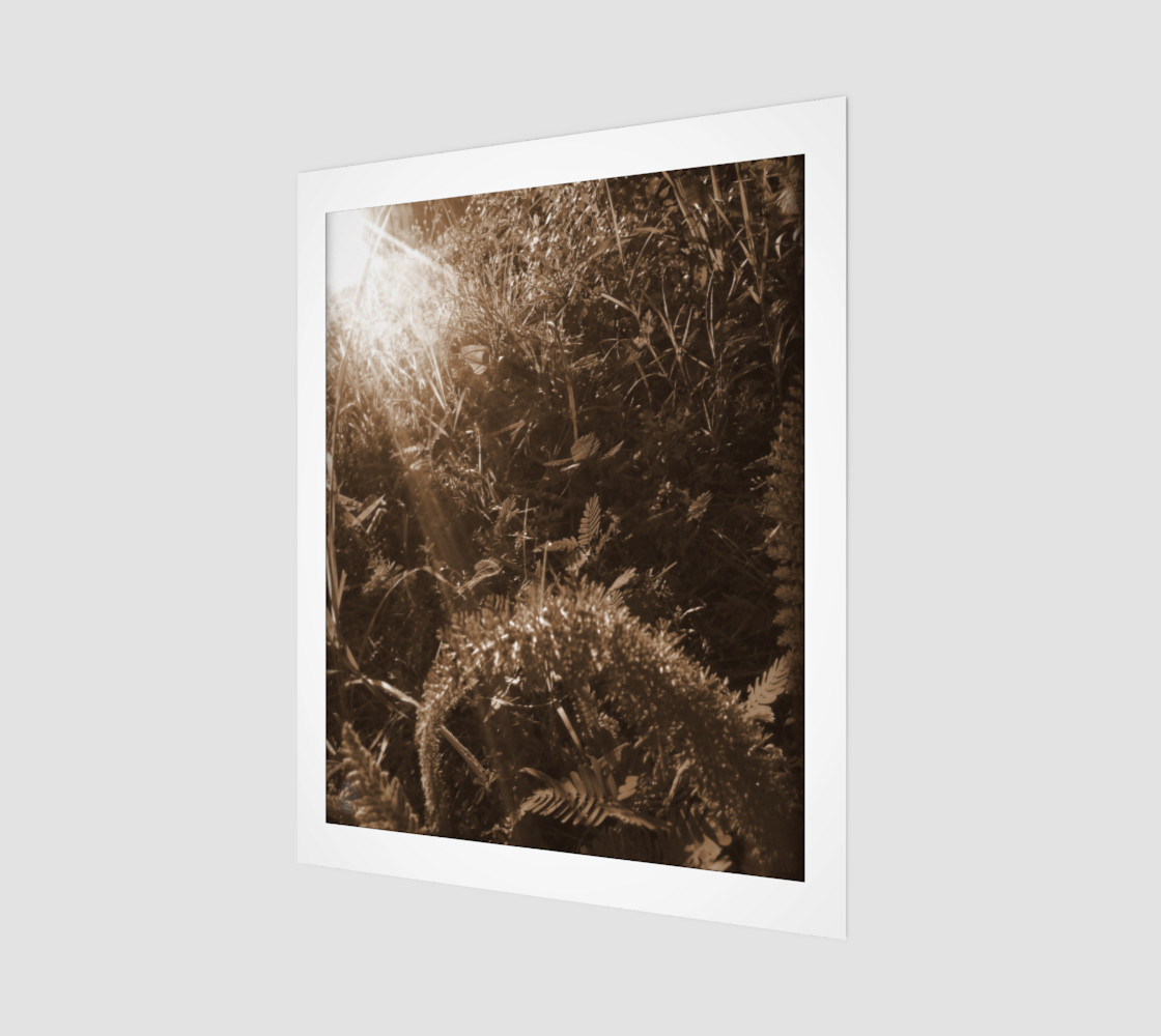 Sepia Morning Number 5 Art Print by Tabz Jones preview #1