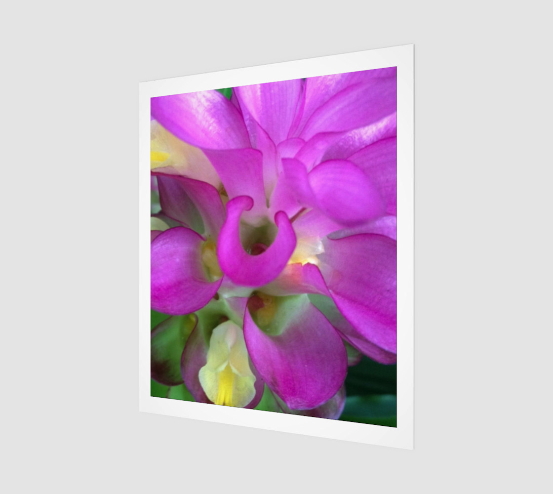 Bright Pink Ginger Flower 20 preview #1