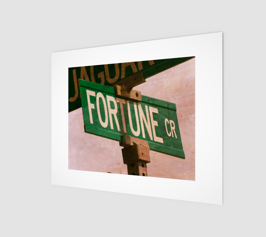 Fortune 10x8 preview #1