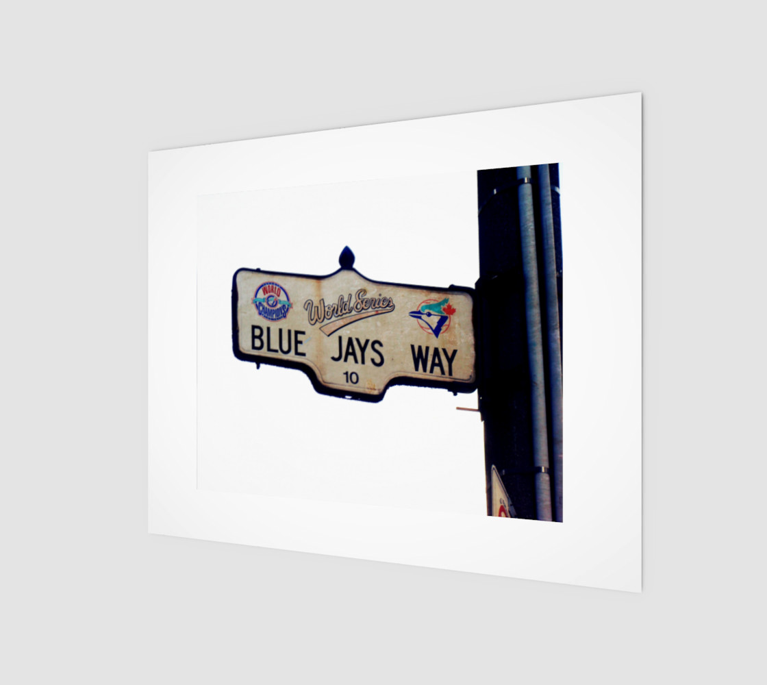 8x10 Blue jays preview #1