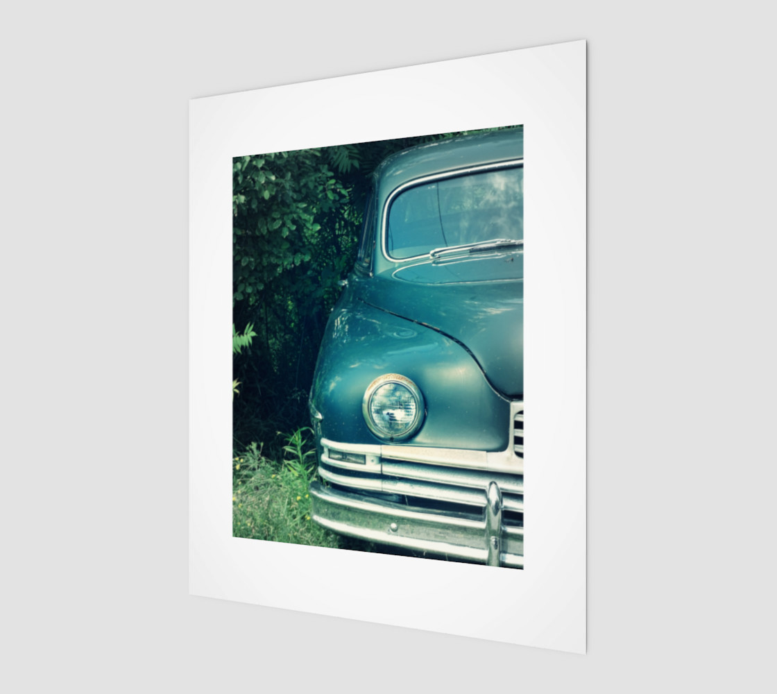 Old vintage 8x10 preview #1