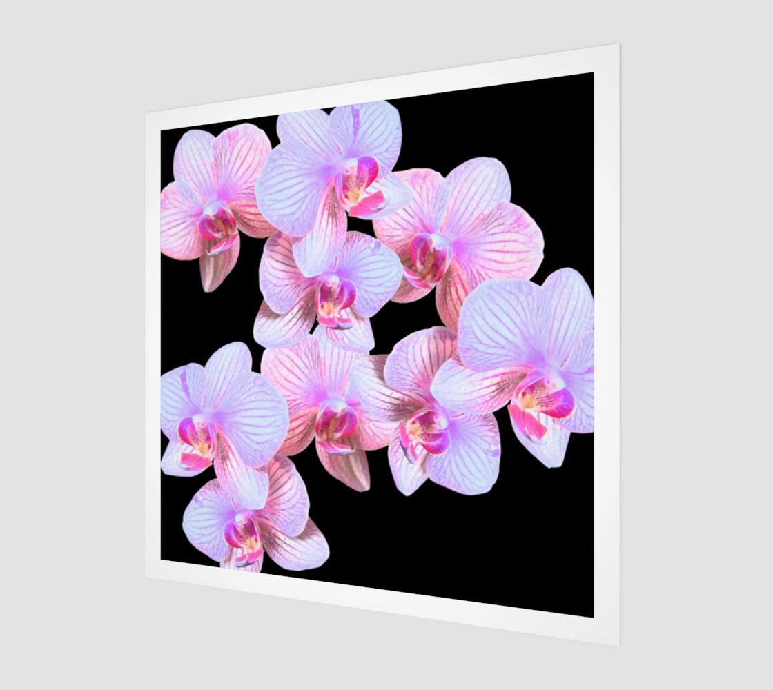 Pink Orchids II Wood Print preview #1