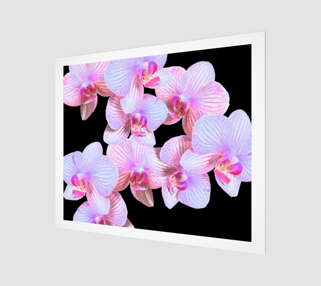 Nighttime Orchids 24in by 20in Wood Print preview #1