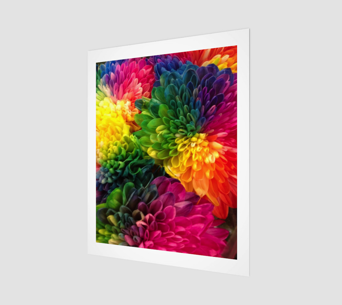 Rainbow Dahlias preview #1