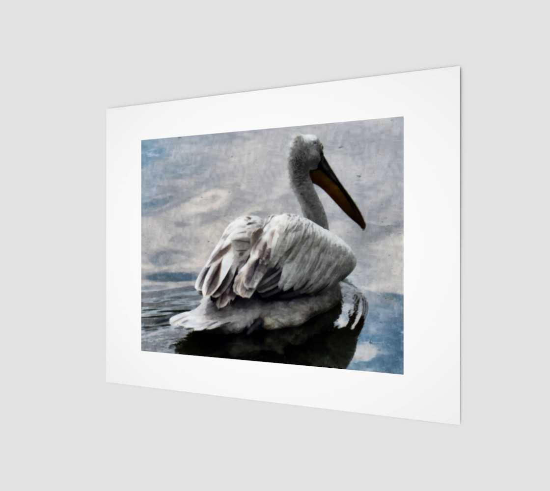 Lonley Pelican(10x8) preview #1