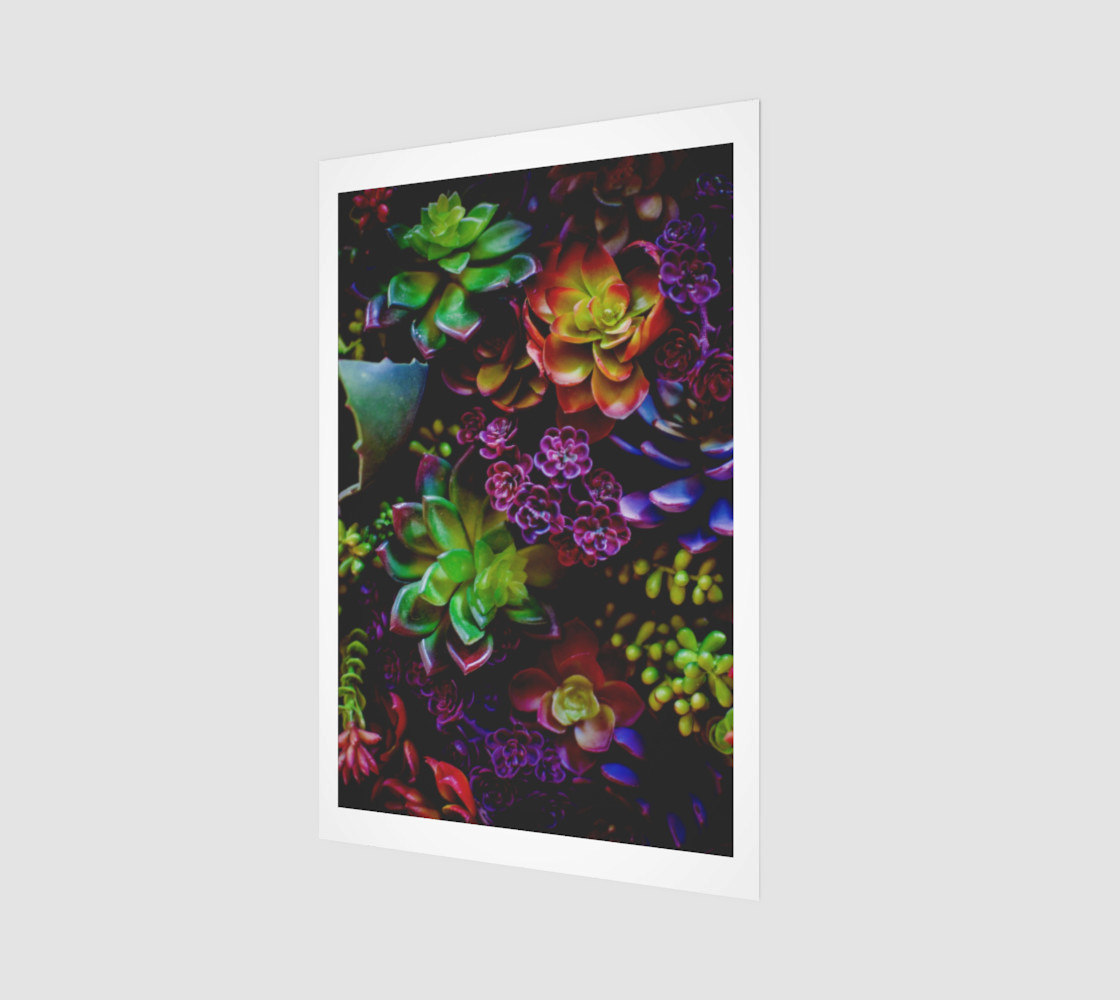 Treasure of Nature VI preview #1