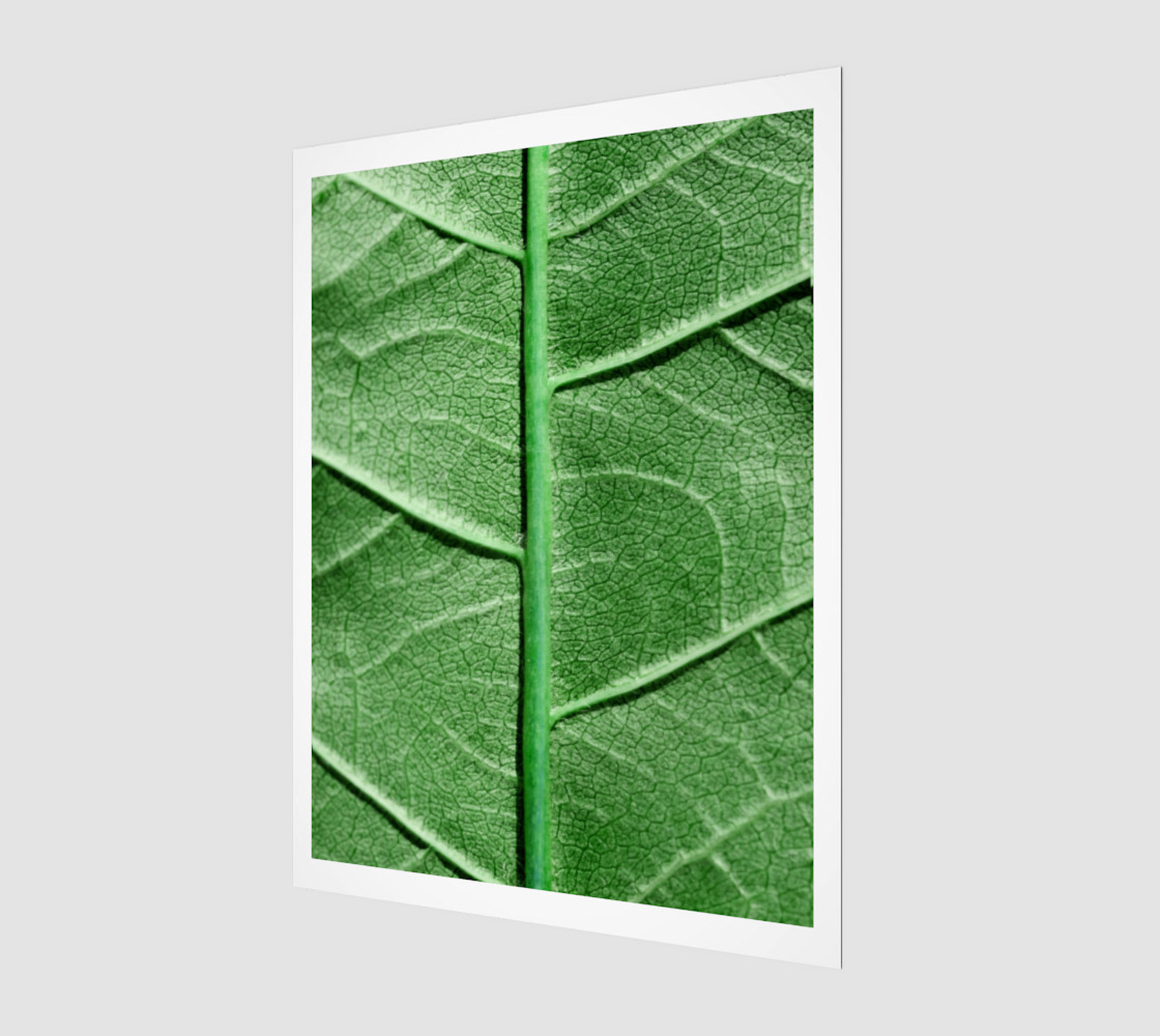 Veined Green Leaf preview #1