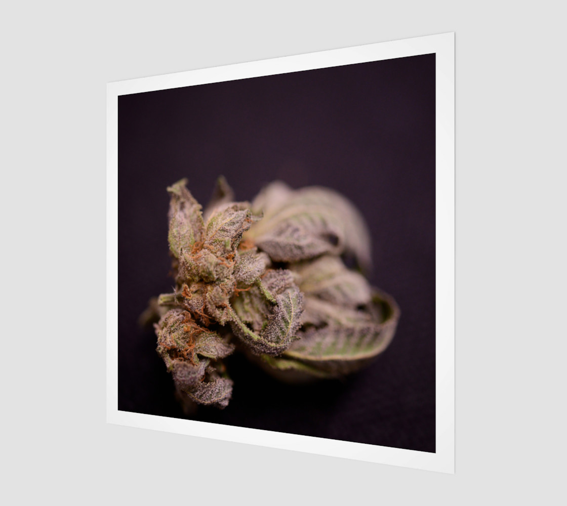 The Pot Factory Bham preview #1