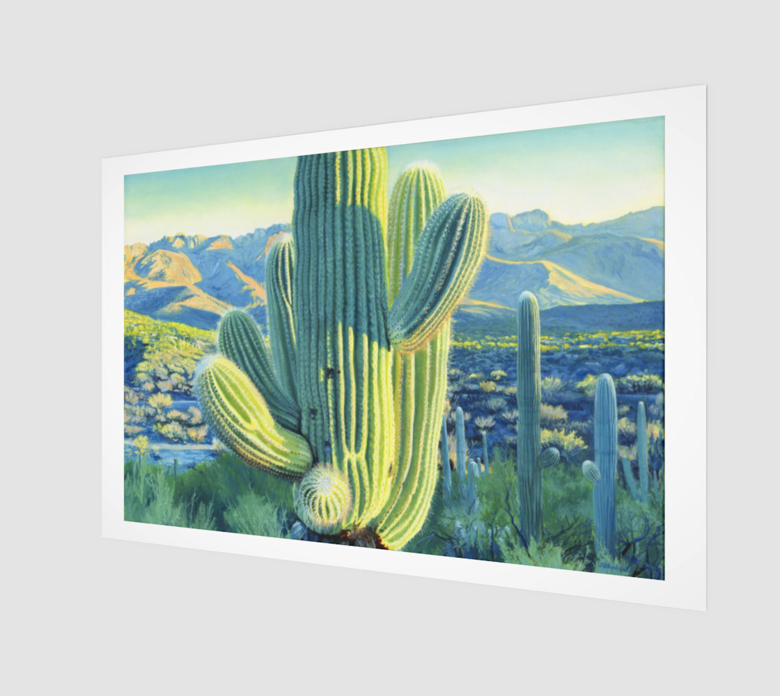 Saguaro 1 preview #1