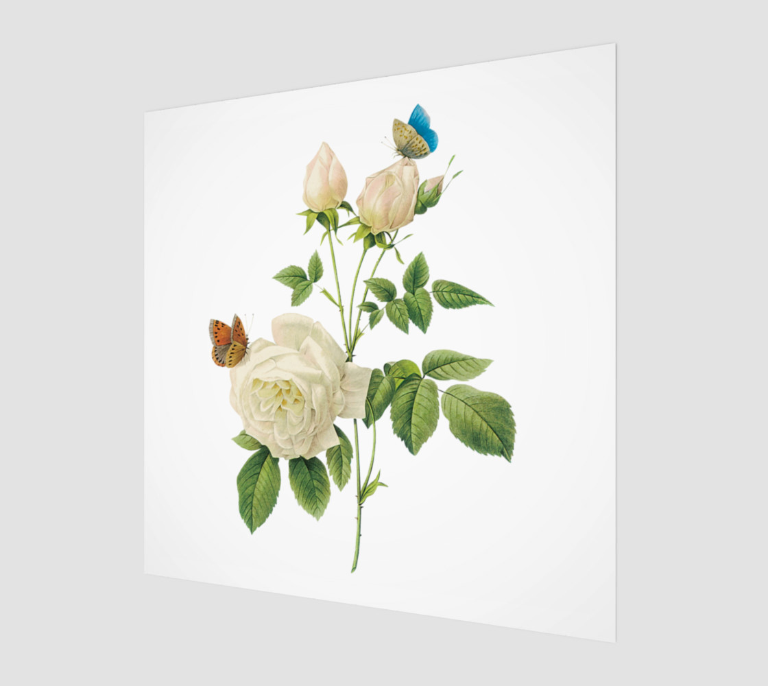 FF - Vintage Flower - White Rose - Butterflies 3D preview