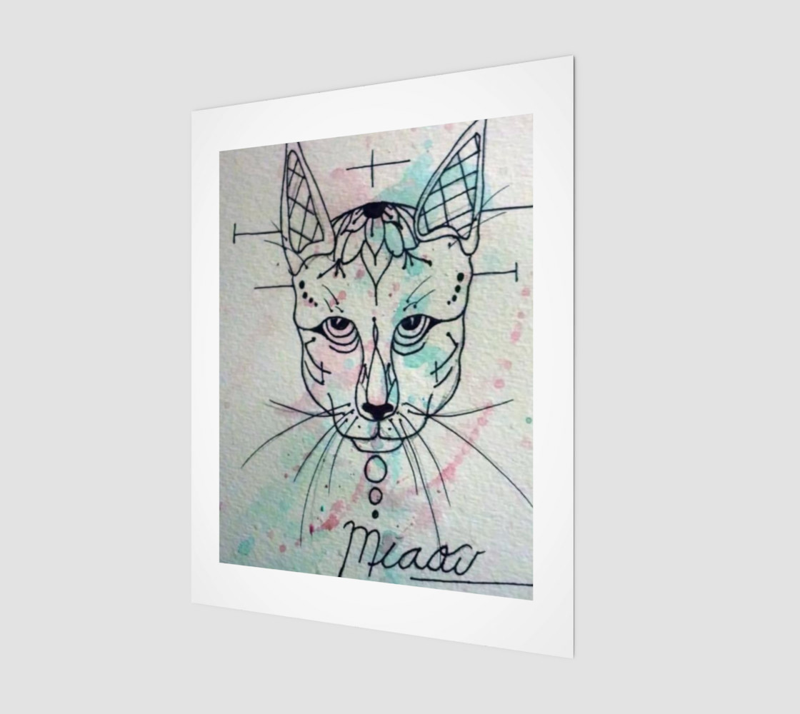 meow preview #1