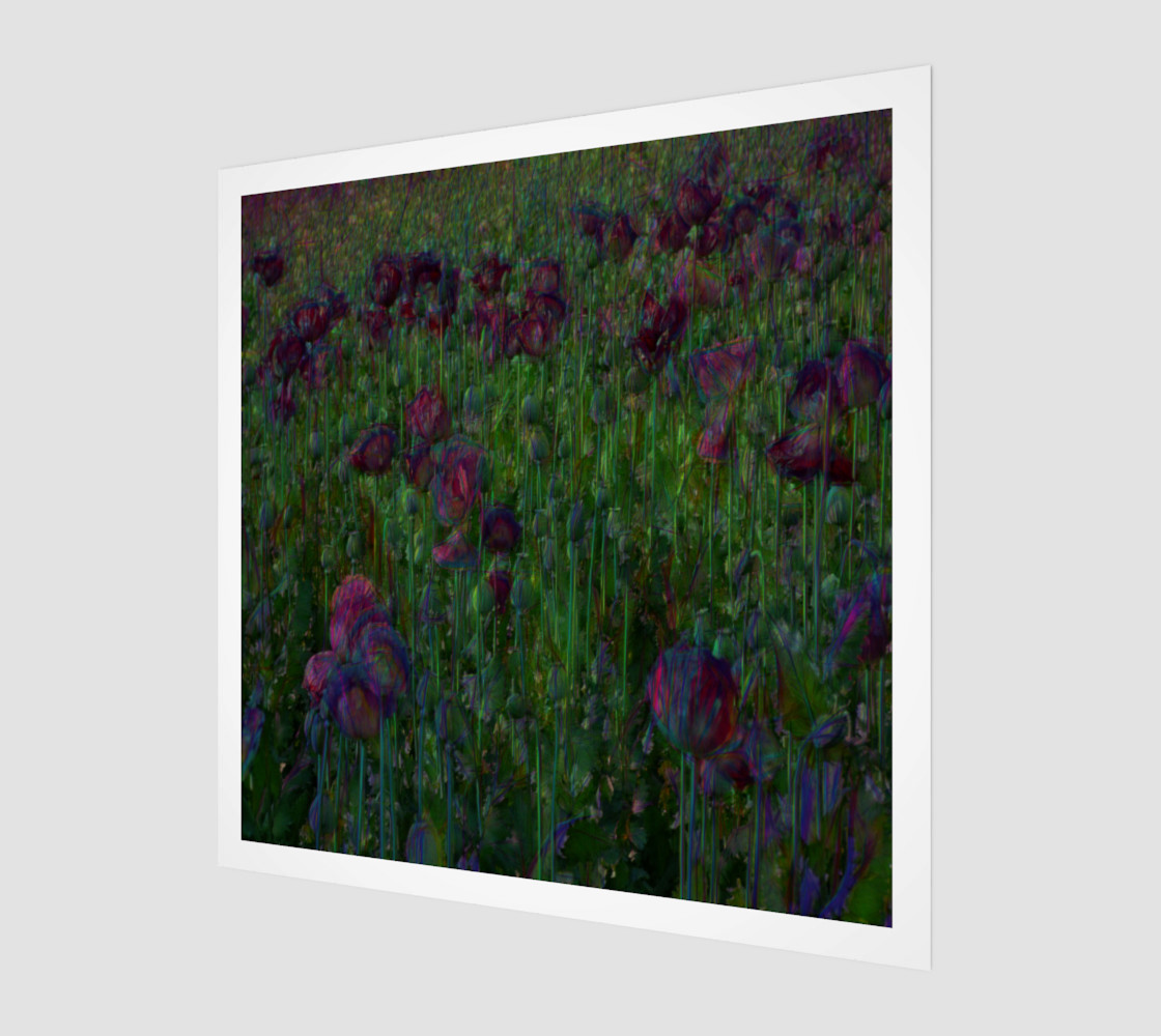 Poppy Meadow preview #1