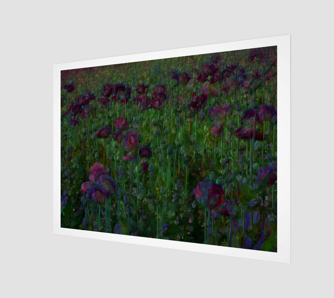 Poppy Meadow preview #1