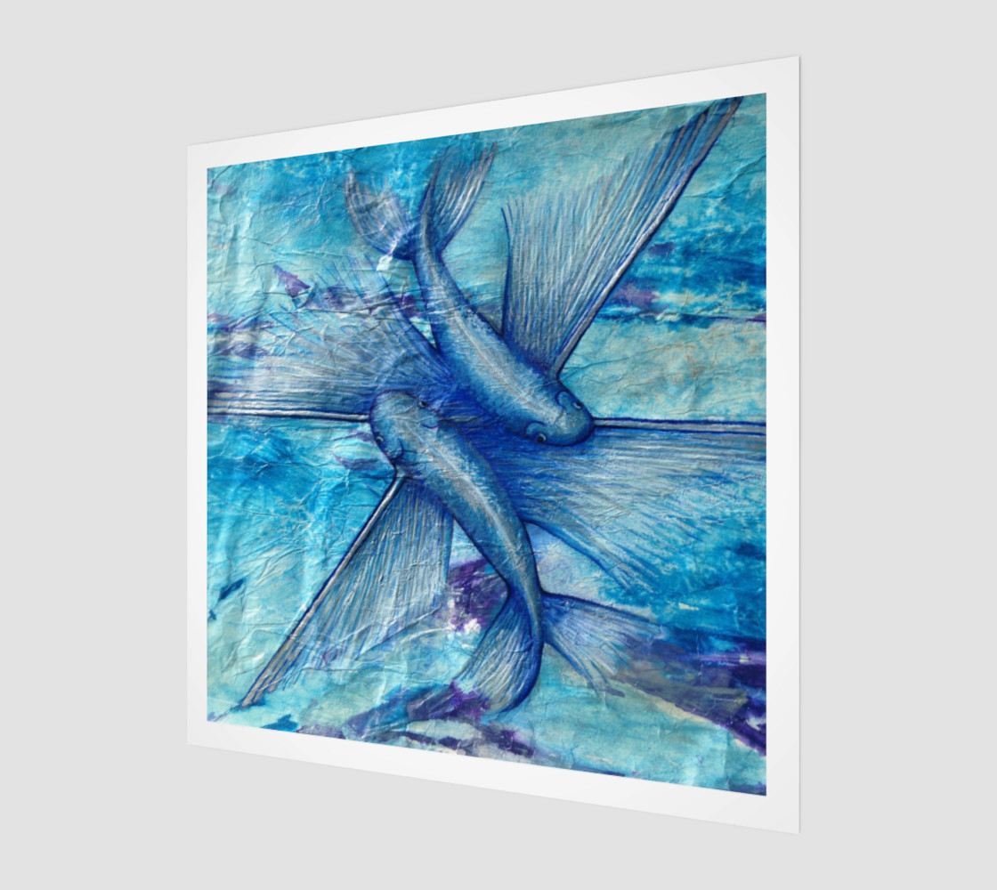 Catalina Flying Fish Art preview #1