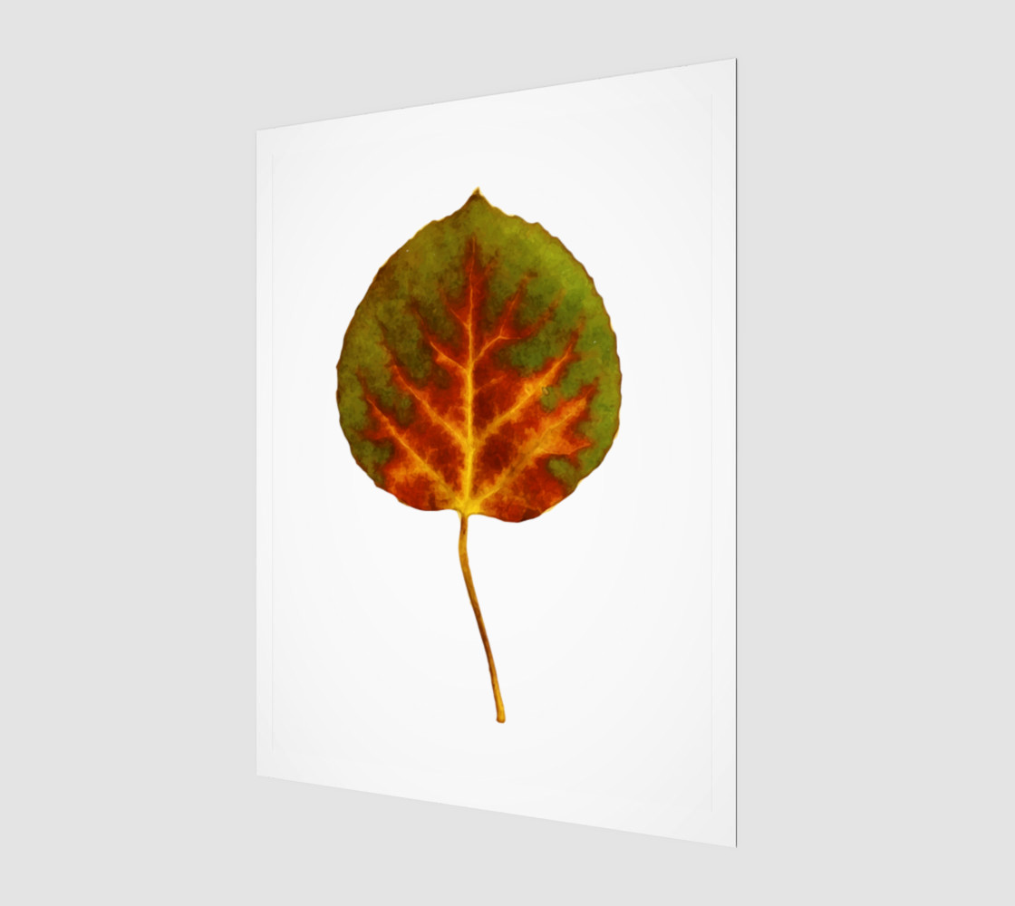 Aspen Leaf preview #1