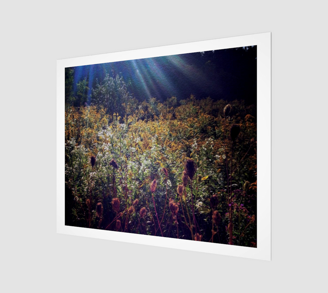 Forever Fields preview #1