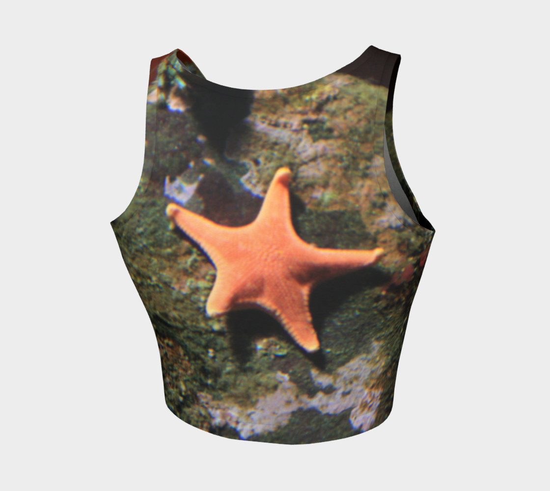 Starfish preview #2