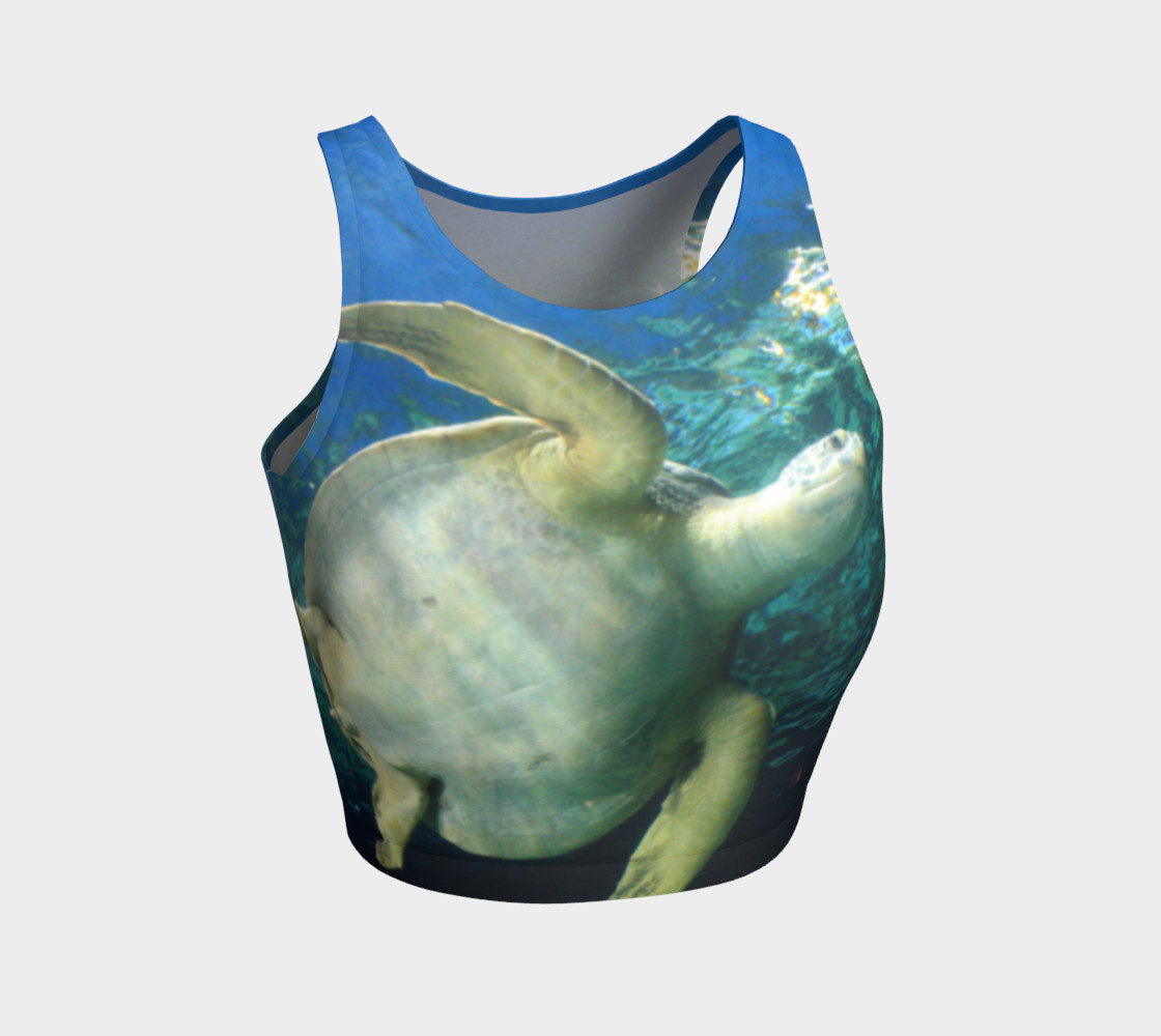 Turtle preview #1