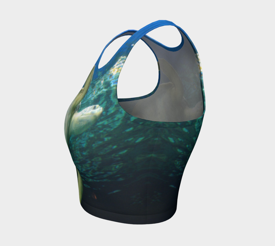 Turtle preview #3