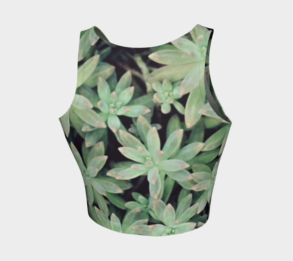 Succulent preview #2