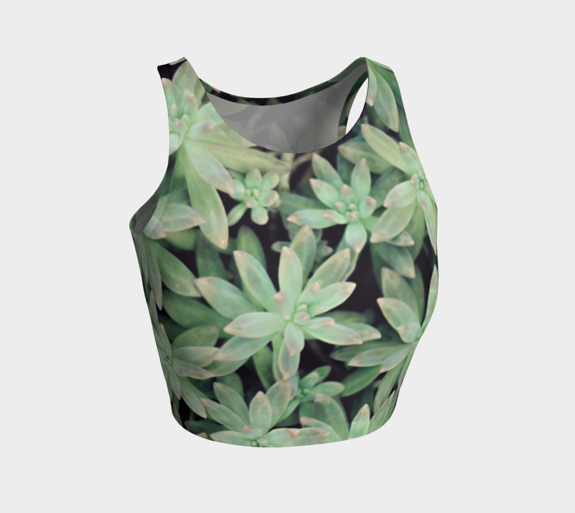 Succulent preview #1