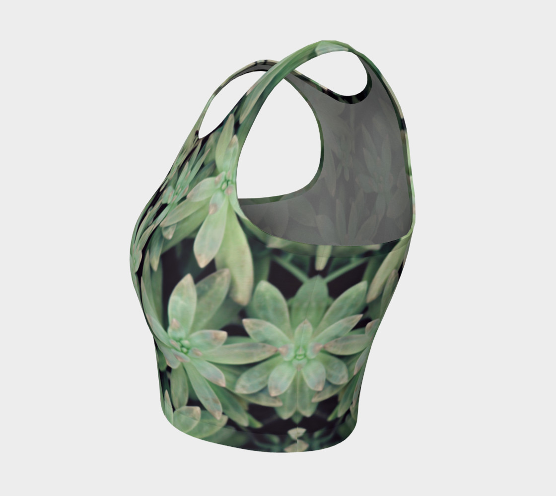 Succulent preview #3