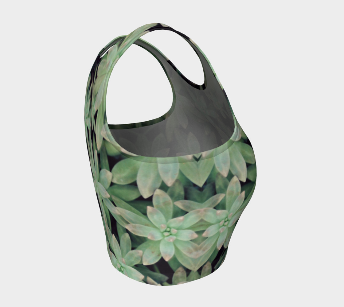 Succulent preview #4
