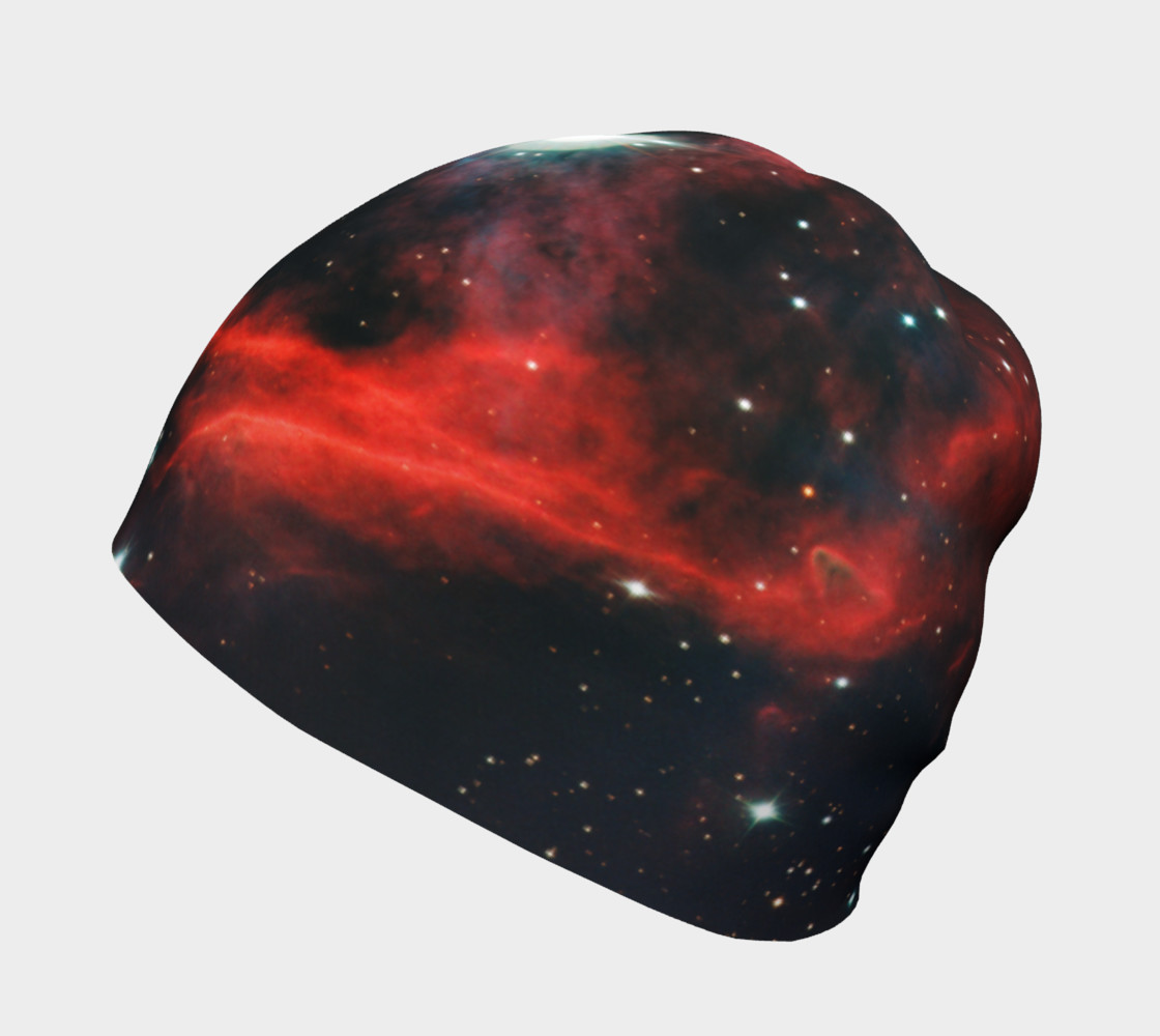 Aperçu de Seagull Nebula Beanie #2