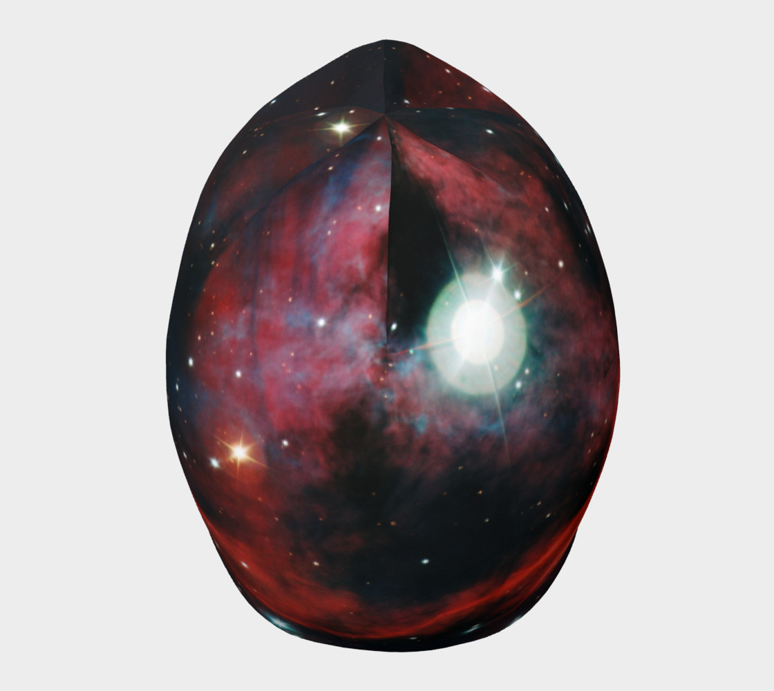 Aperçu de Seagull Nebula Beanie #5