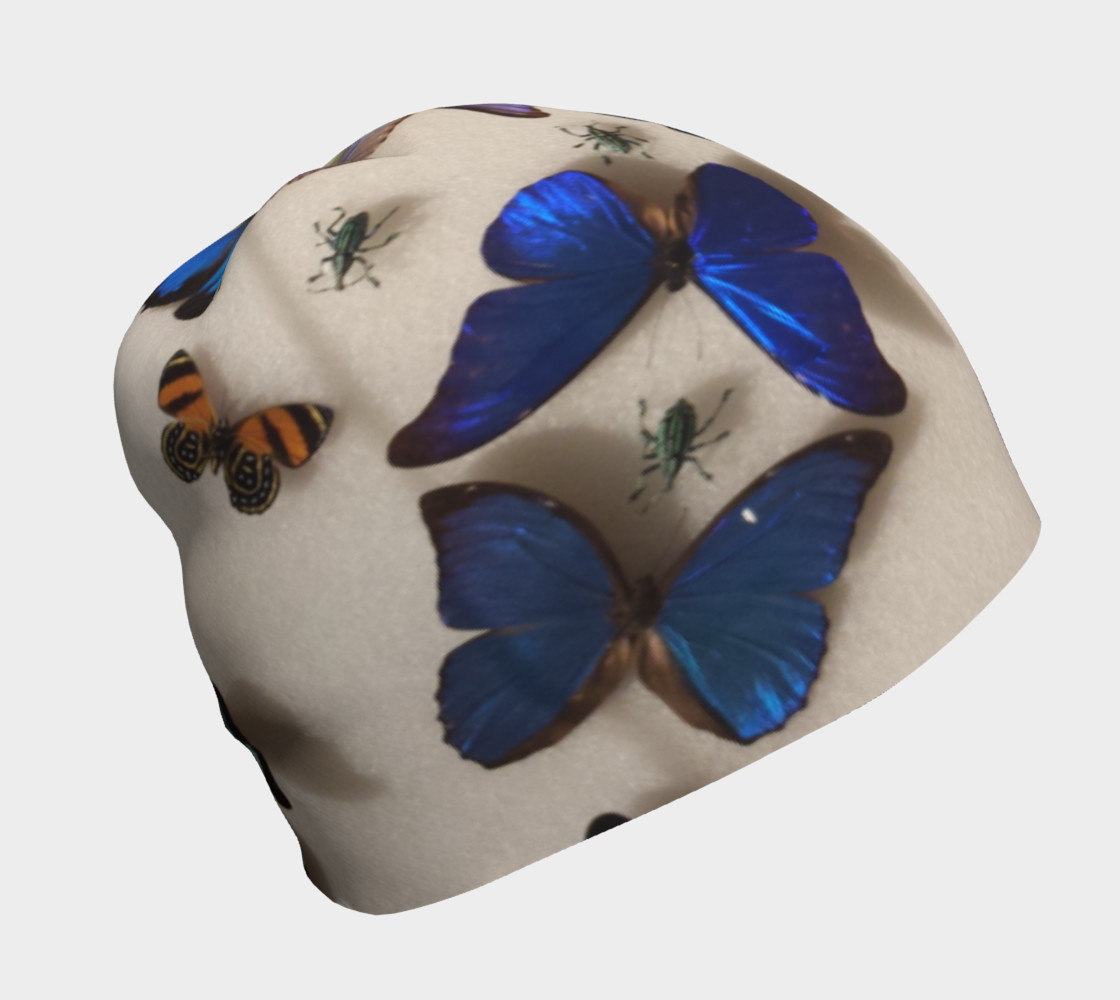 Butterflies - Museum of Nature Ottawa Canada preview #1