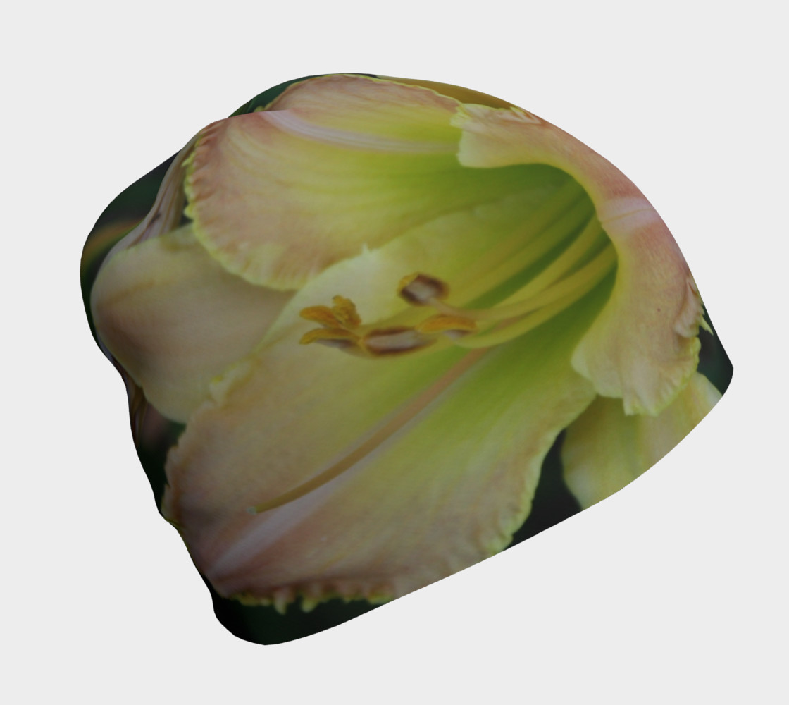 toothy cap preview #1