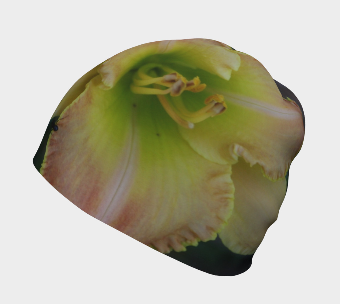 toothy cap preview #2