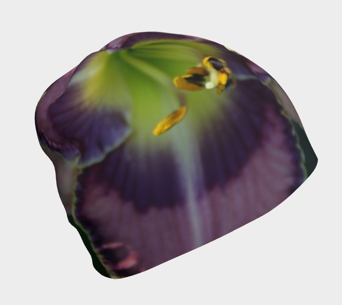 Daylily modernist preview #1