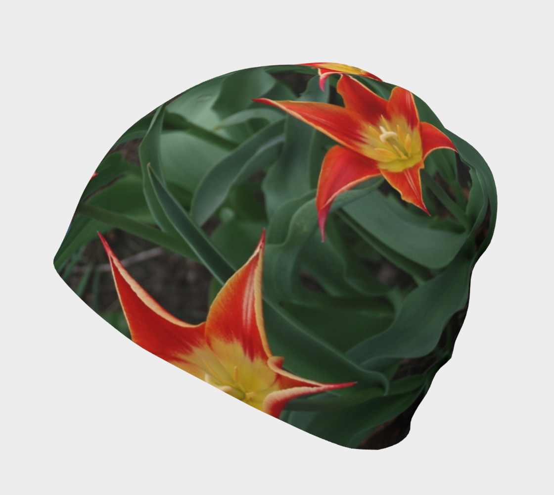 Tulip beanie preview #2