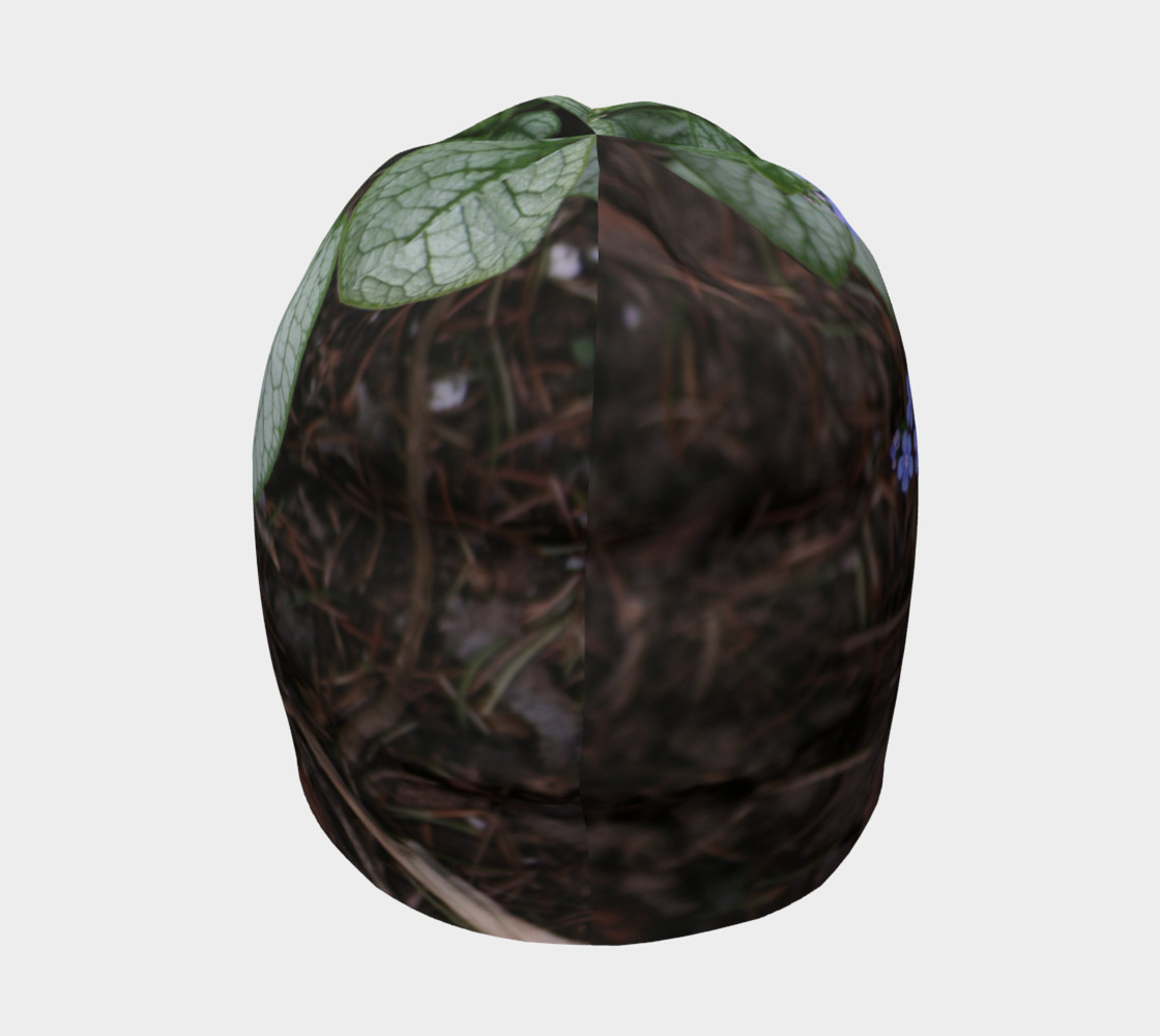 Brunnera Variegata Beanie preview #4