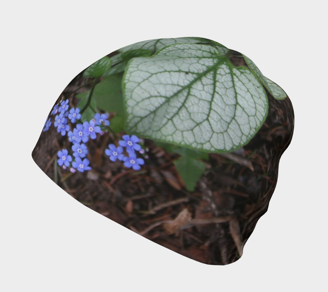 Brunnera Variegata Beanie preview #2