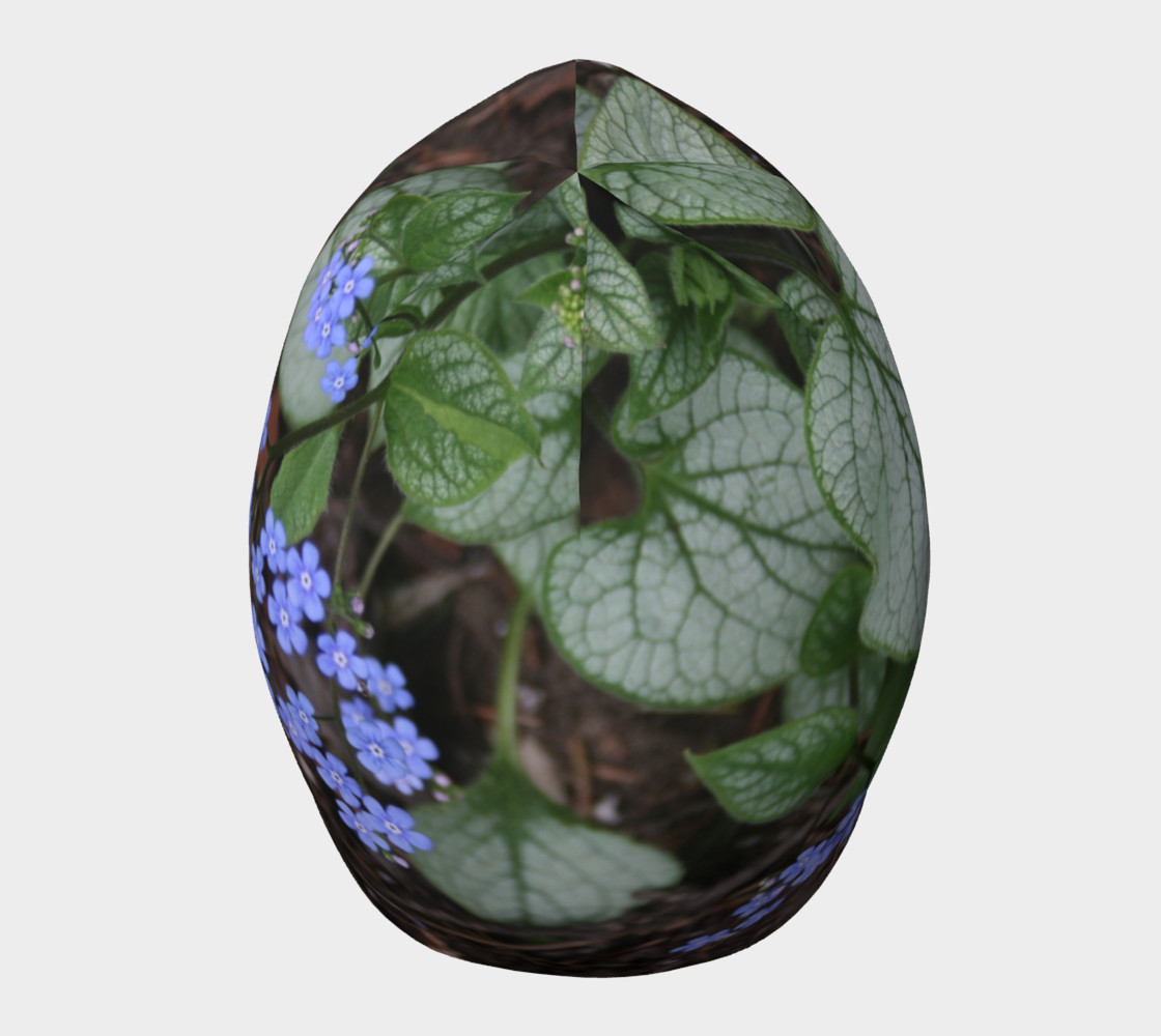 Brunnera Variegata Beanie preview #5
