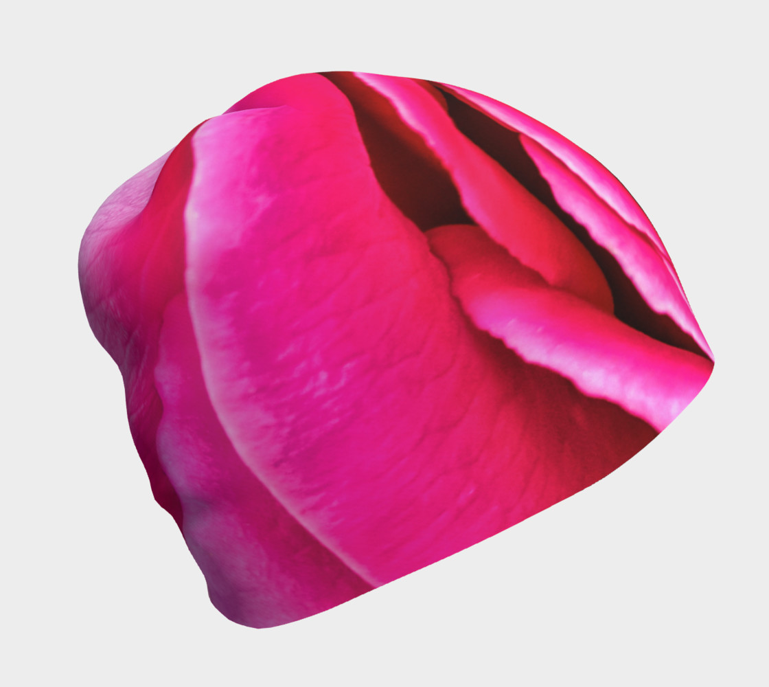 Aperçu de Hot Pink Rose Closeup #1