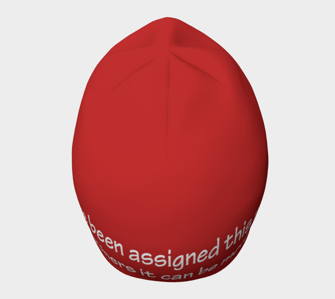 Aperçu de You Have Been Assigned This Mountain Beanie #5