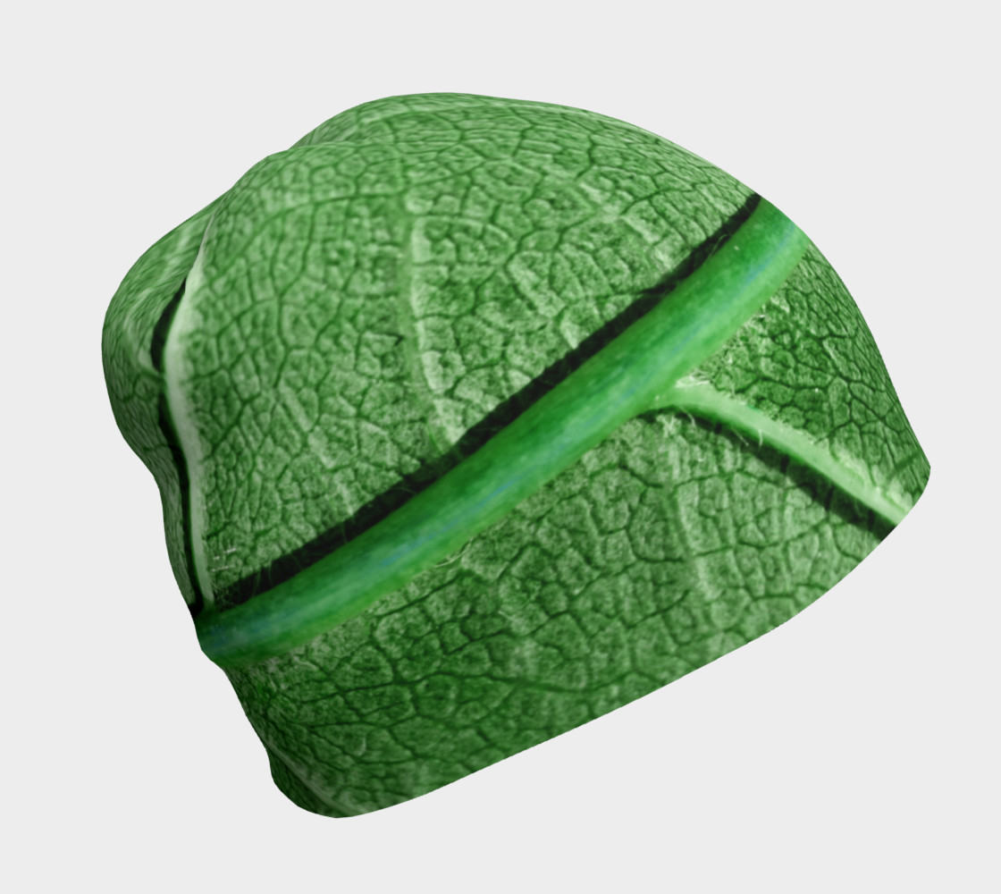 Aperçu de Veined Green Leaf #1