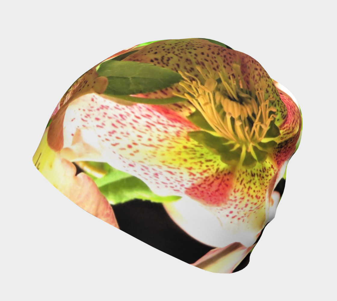 Aperçu de Hellebore #2