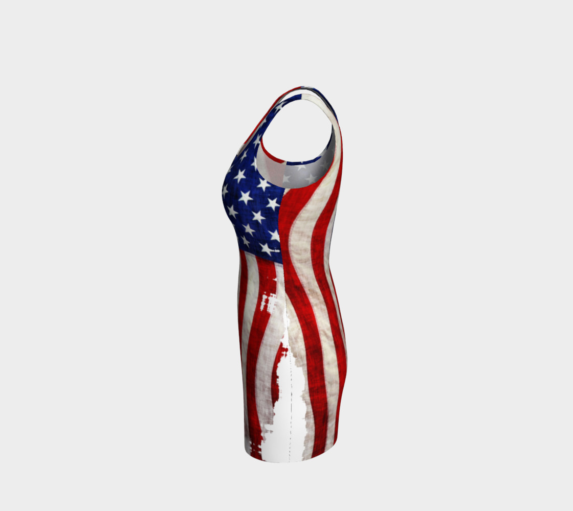 Patriotic US Flag preview #2