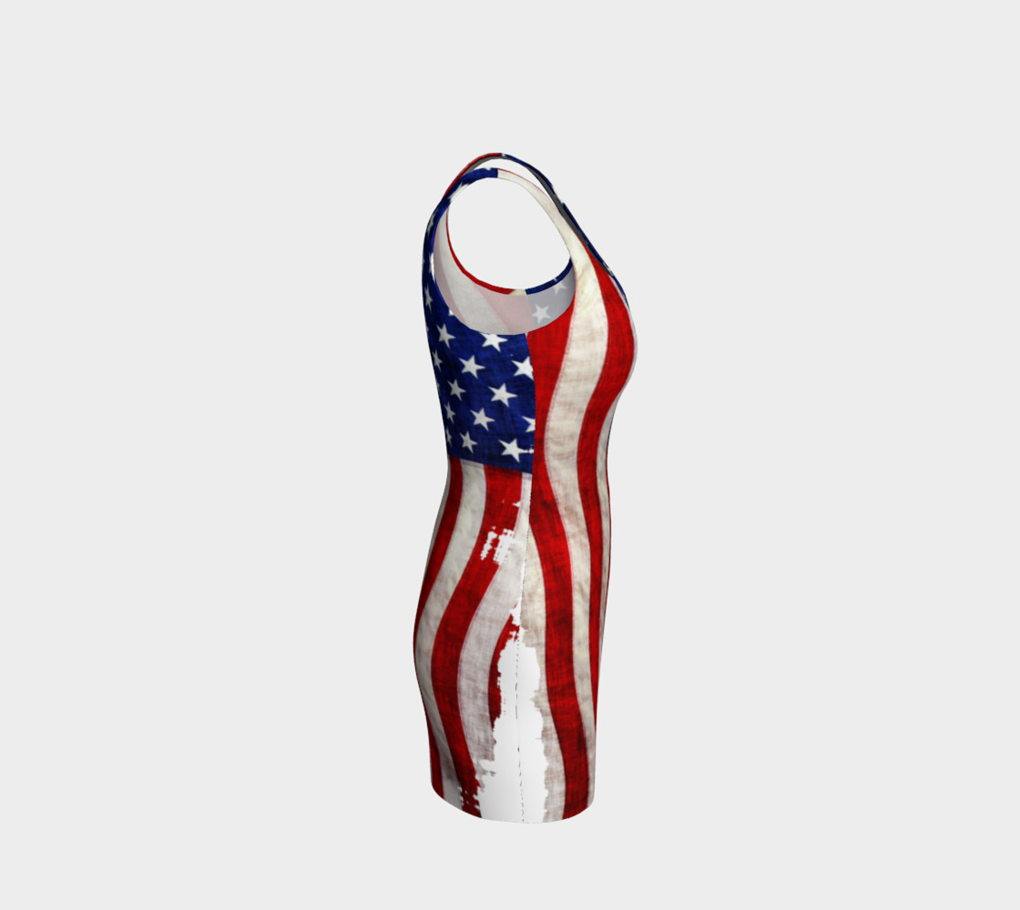 Patriotic US Flag preview #4