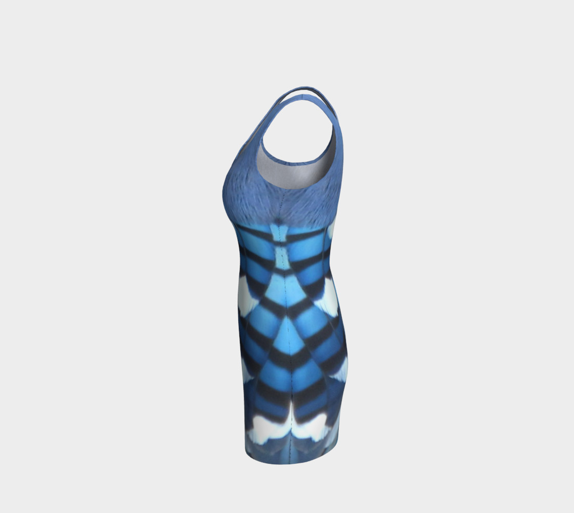 Bluejay Feathers preview #2