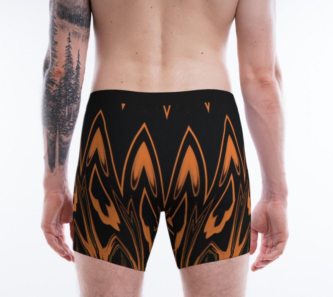 Aperçu de This Way Up - Boxer Briefs #2